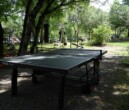 Table de ping-pong